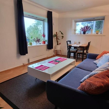 Cosy Tromso Apartment المظهر الخارجي الصورة