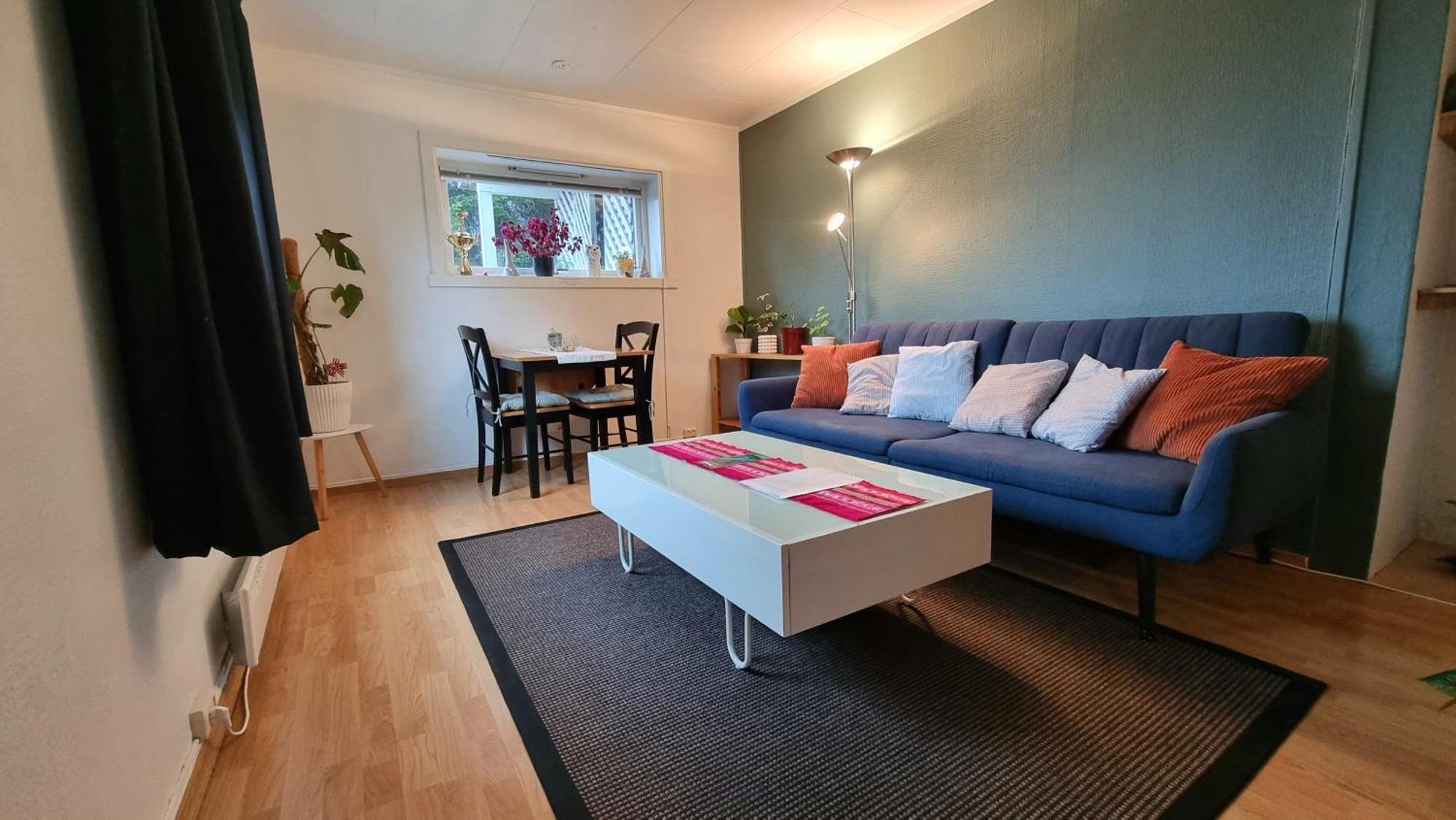 Cosy Tromso Apartment المظهر الخارجي الصورة